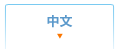 中文