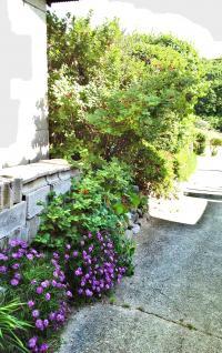 ご覧いただきありがとうございました。