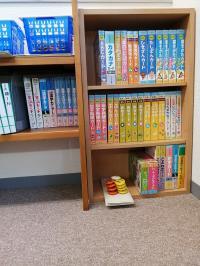 乳幼児さんに使えるカード、やってみよう