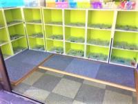 ベビーカーで中まで、入ることができます。