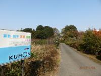 ＫＵＭＯＮの水色の看板が目印です。