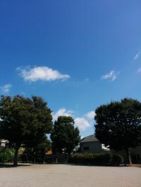 ゆったりとした西高根公園から100メートルの位置にあります。