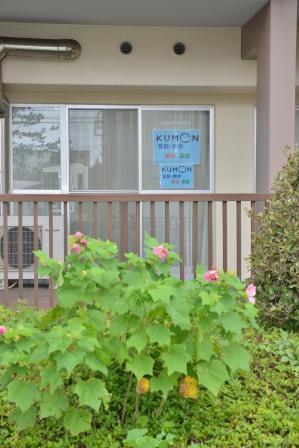 高浜幼稚園側から見た  壱番館の一階にある教室です。