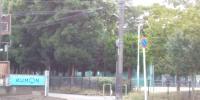 広々とした横須賀中央公園は目の前です。<br />
