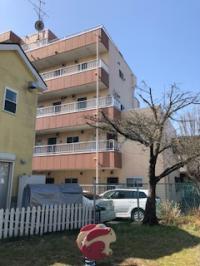 教室の外観です<br />
緑道側からお越しください