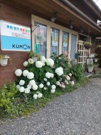 教室前に駐車スペースがあります。入口に消毒液をご用意しております。