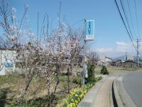 田牧線、サークルＫの西