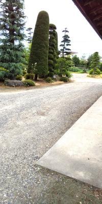 駐車場が広いので、車での来室も安心です。