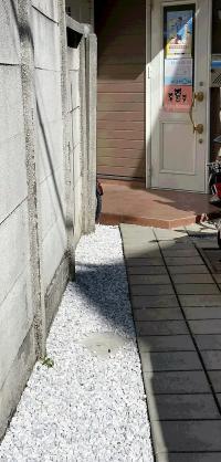 入り口は細い小道を入ったところです。