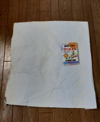 少し大きくなった子へ……大きい紙にのびのび描こう！