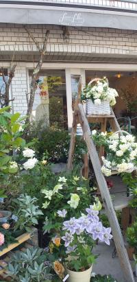 等々力通り沿いシルバー玉川一階、お花屋foo-floさんの右奥です<br />