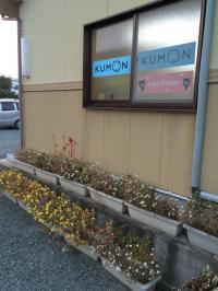 広い駐車場をご用意しています♪譲り合ってご利用ください☆