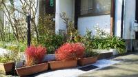 ここが教室の入り口です。