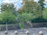 教室の隣には公園があります。