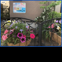 保護者様にいただいたお花。ハンギングしました