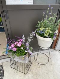 教室入り口の綺麗なお花とともにスタッフ一同、皆さまのお越しをお待ちしております。