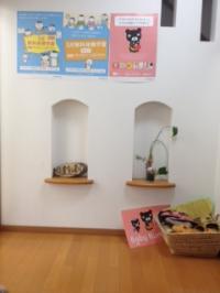 玄関です。ようこそ、Baby Kumonへ！