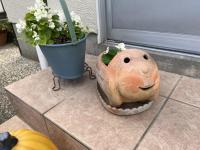 教室のまわり・入口では、季節の花々がお出迎えします。