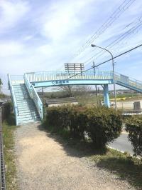 九会小学校帰りの皆さんはこちらの歩道橋から徒歩10分です。