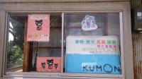 Ｂａｂｙ　Ｋｕｍｏｎにようこそ！