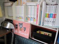 ベビークモンセットの見本を揃えております