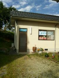 こちらからお入りください