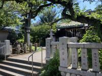 深緑と狛犬がお子さまを見守ります。