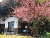 春には教室前の八重桜が満開です♪