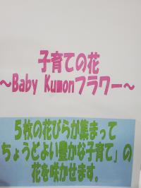 BabyKumonは、子育ての花を育てます。それぞれにちょどいい花です。