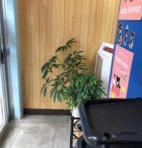 教室内にベビーカー置き場がございます。