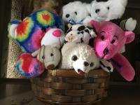 クロクマ君はどこかな？