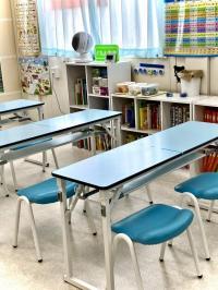 低中学年用の机椅子。足がしっかり地に着いて、背筋もピーン!学びの意欲も◎。