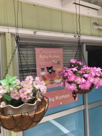 ベビークモンも実施しています♪