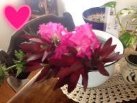 子育てを応援させていただきます!