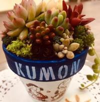 大切な時期の適切な働きかけをご提案させていただきます。