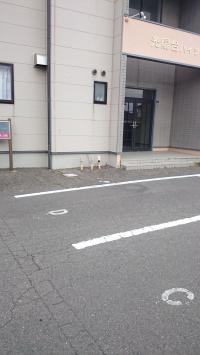 駐車場もあります!