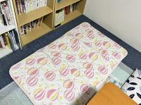 小さいお子さまを寝かせることのできるスペースもあります。