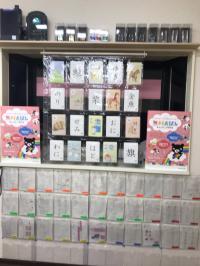 教室は、ママもお子さんも一緒に学ぶ空間です。