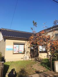 教室は柿の木が目印です（笑）
