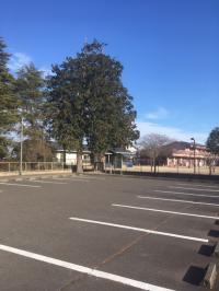 保育園の駐車場をお使いください。台数に余裕があるのでゆっくり止められます。