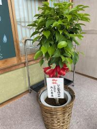 元気に新規開設!zoomを使ったおうちでBKも対応しております。