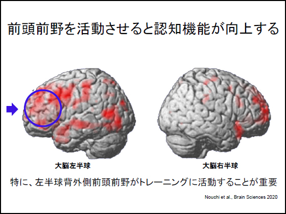 20歳から加齢とともに思考の脳の機能は低下する