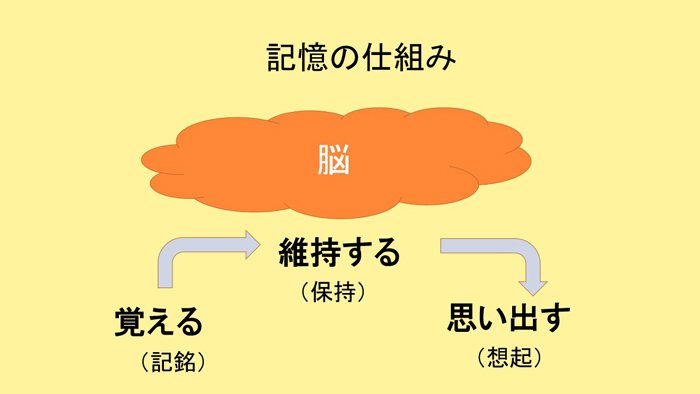 KUMONの脳トレ会員向け オンラインセミナー報告